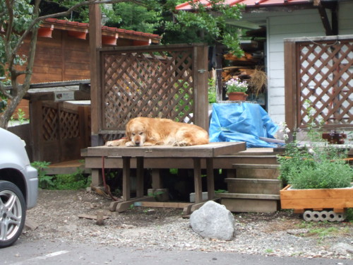 f:id:ICHIRO:20090706215749j:image:w300