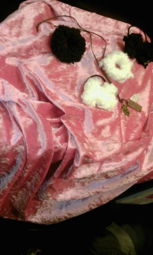 f:id:ICHIRO:20111124011753j:image:h300