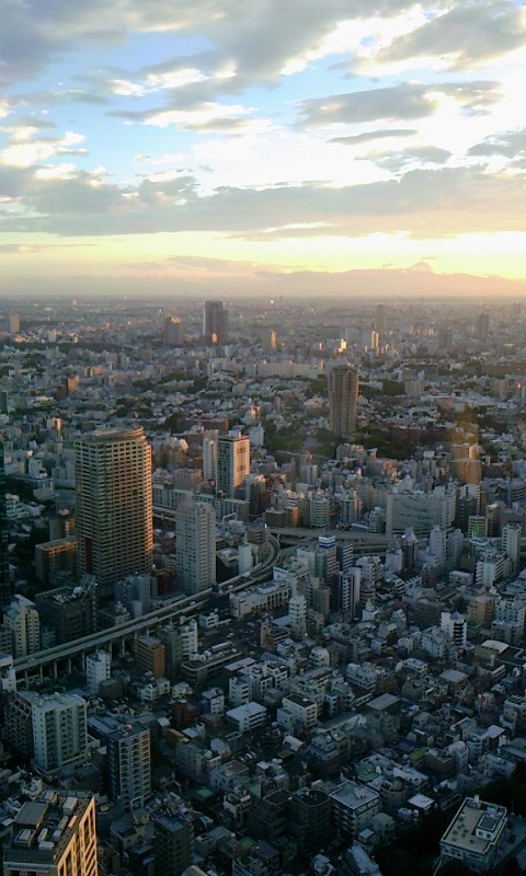   東京タワー