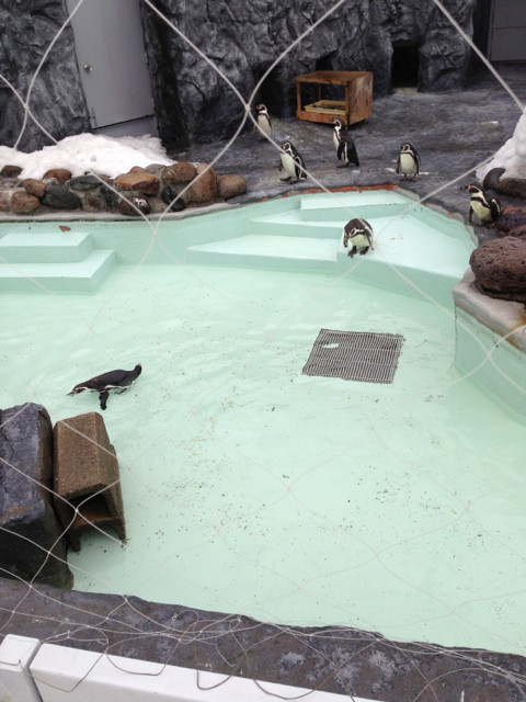 札幌市円山動物園