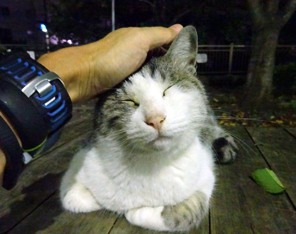 f:id:ICHIZO:20160911220645j:plain f:id:ICHIZO:20160911220645j:plain