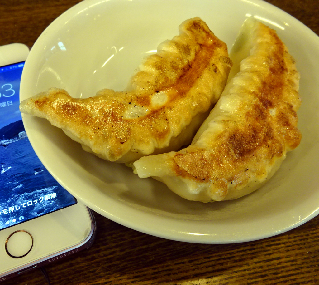 f:id:ICHIZO:20161116030808j:plain