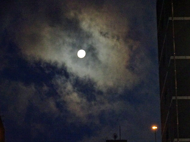f:id:ICHIZO:20170711054105j:plain