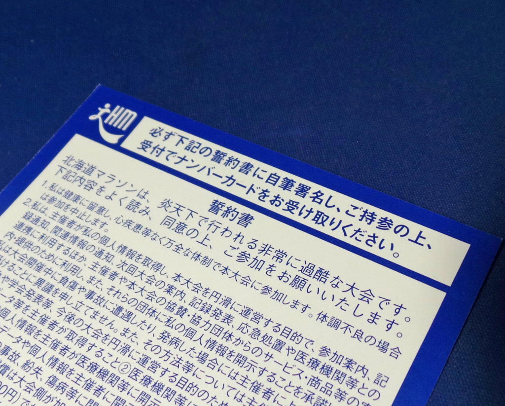 f:id:ICHIZO:20170729075004j:plain