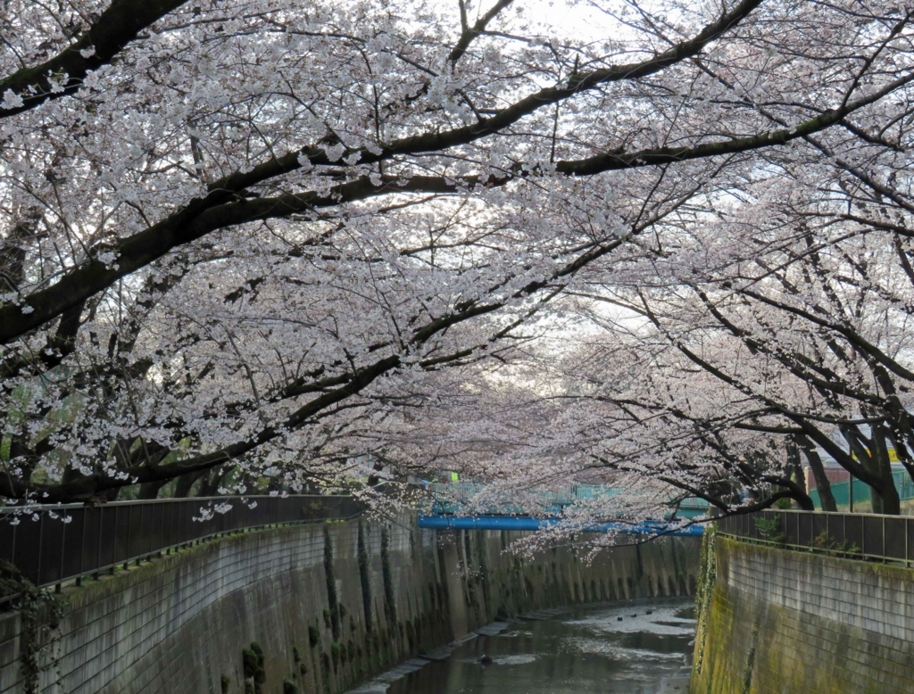 f:id:ICHIZO:20180325195348j:plain
