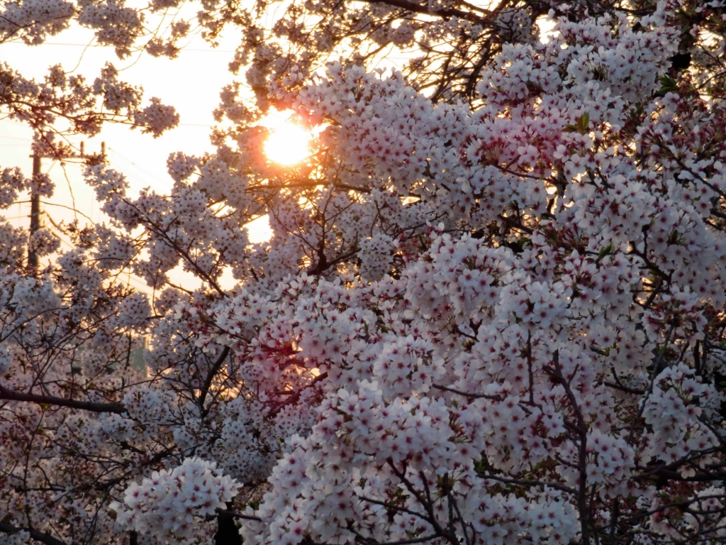 f:id:ICHIZO:20180401164021j:plain