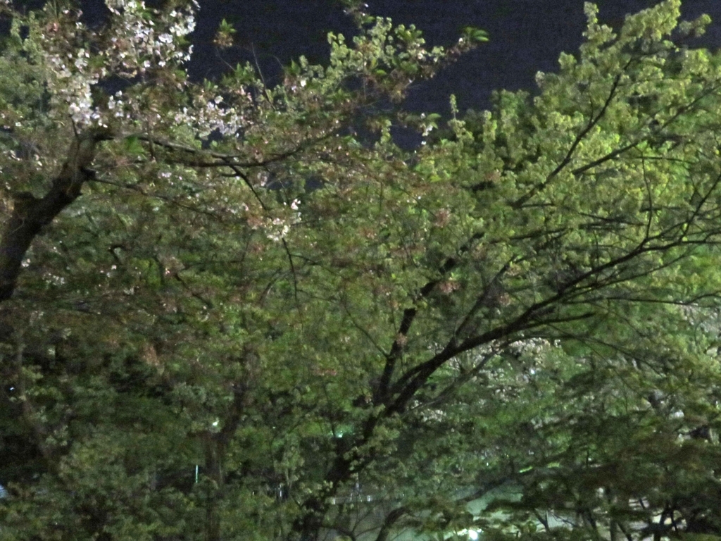 f:id:ICHIZO:20180404053519j:plain