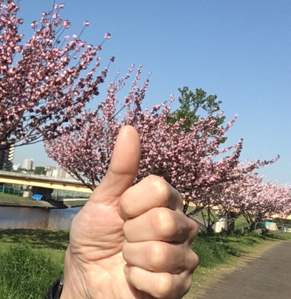 f:id:ICHIZO:20180408075138j:plain