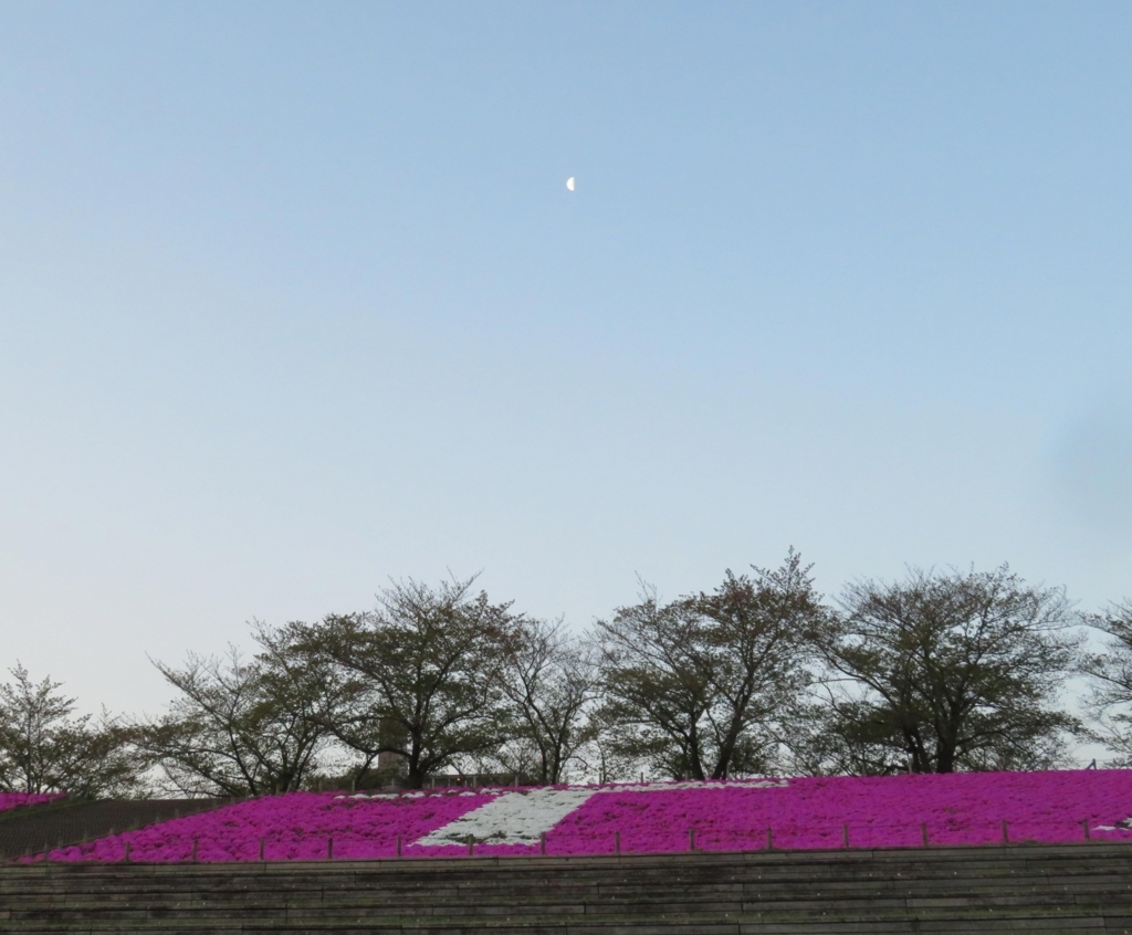 f:id:ICHIZO:20180408210221j:plain