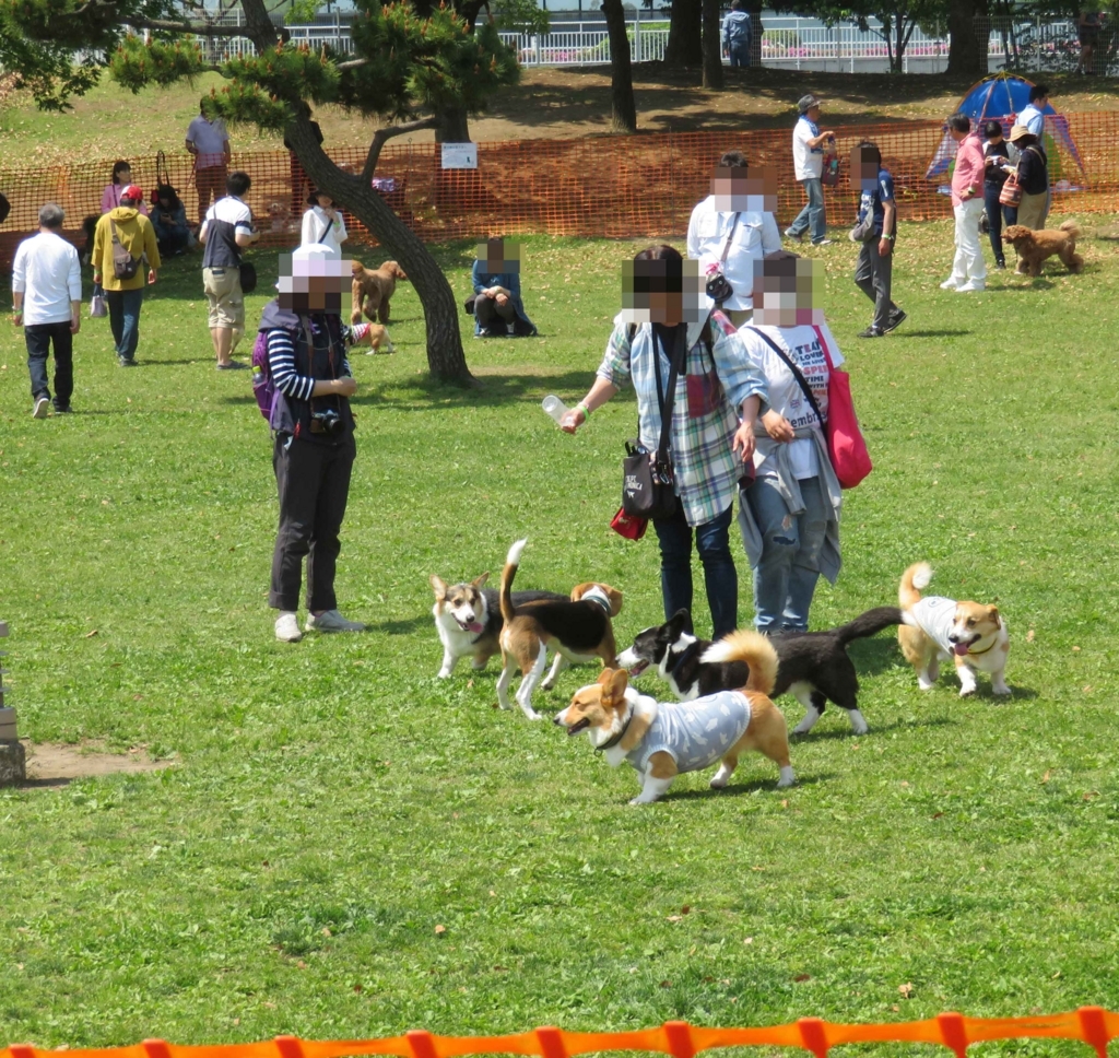 f:id:ICHIZO:20180429215713j:plain