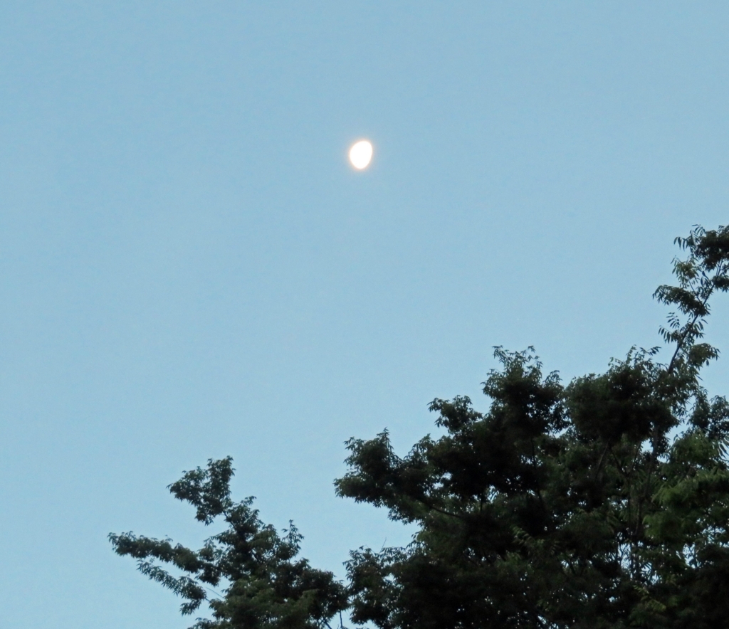 f:id:ICHIZO:20180604050654j:plain f:id:ICHIZO:20180604050654j:plain