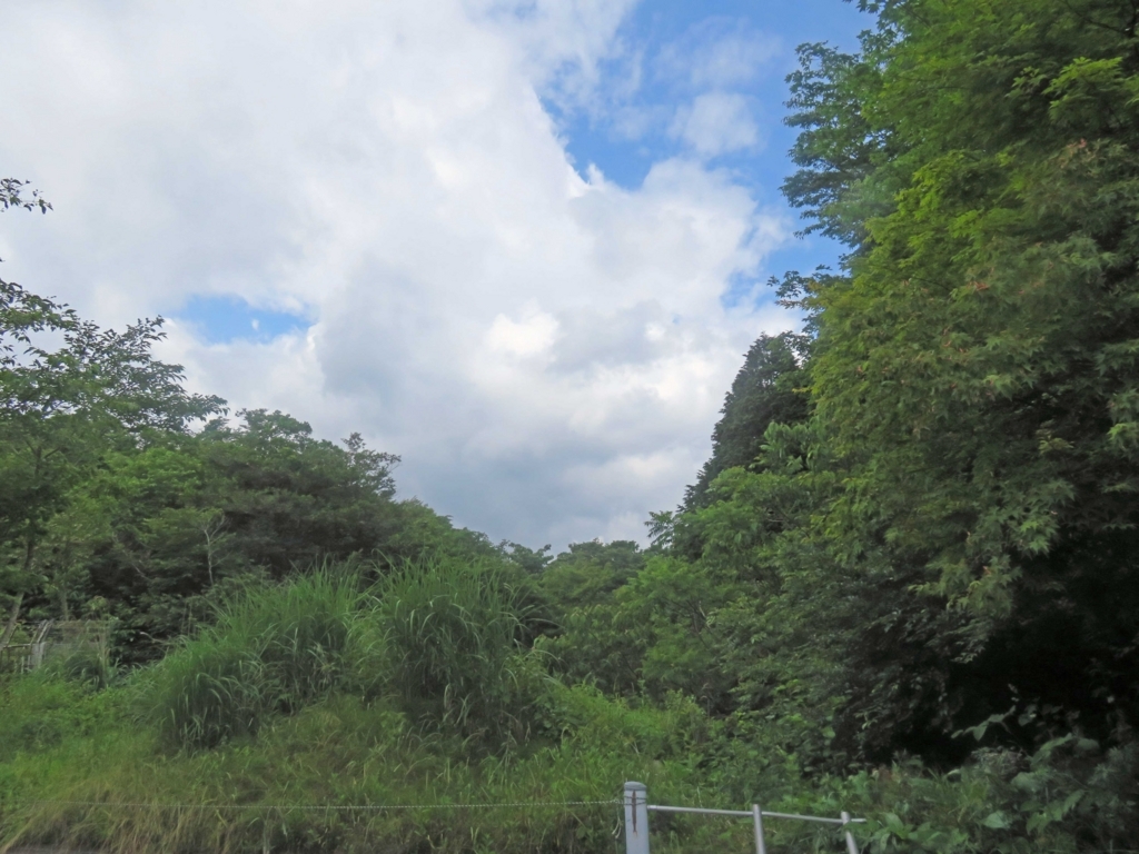 f:id:ICHIZO:20180614044540j:plain