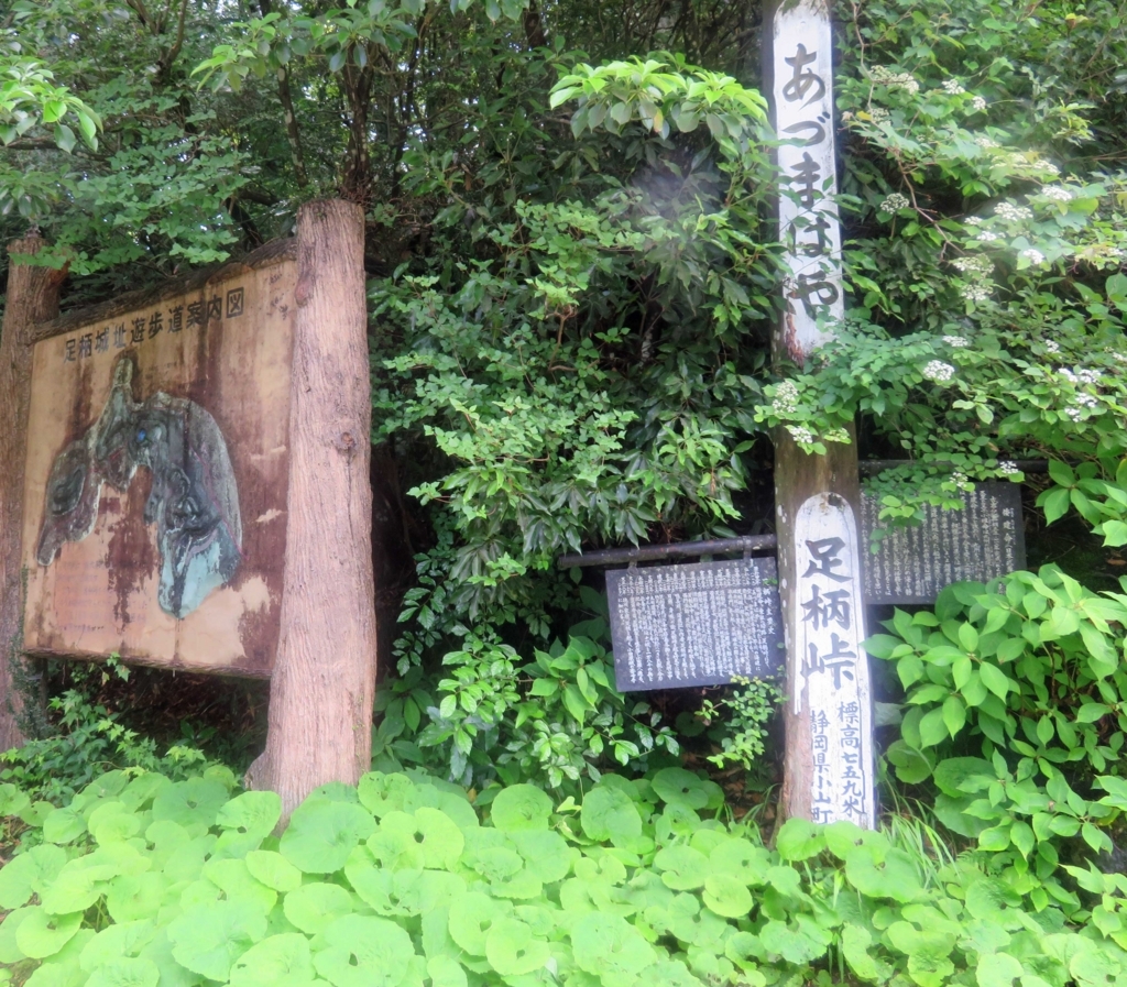 f:id:ICHIZO:20180614044800j:plain