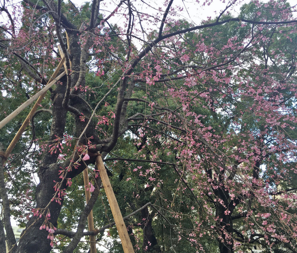 f:id:ICHIZO:20180703033128j:plain f:id:ICHIZO:20180703033128j:plain