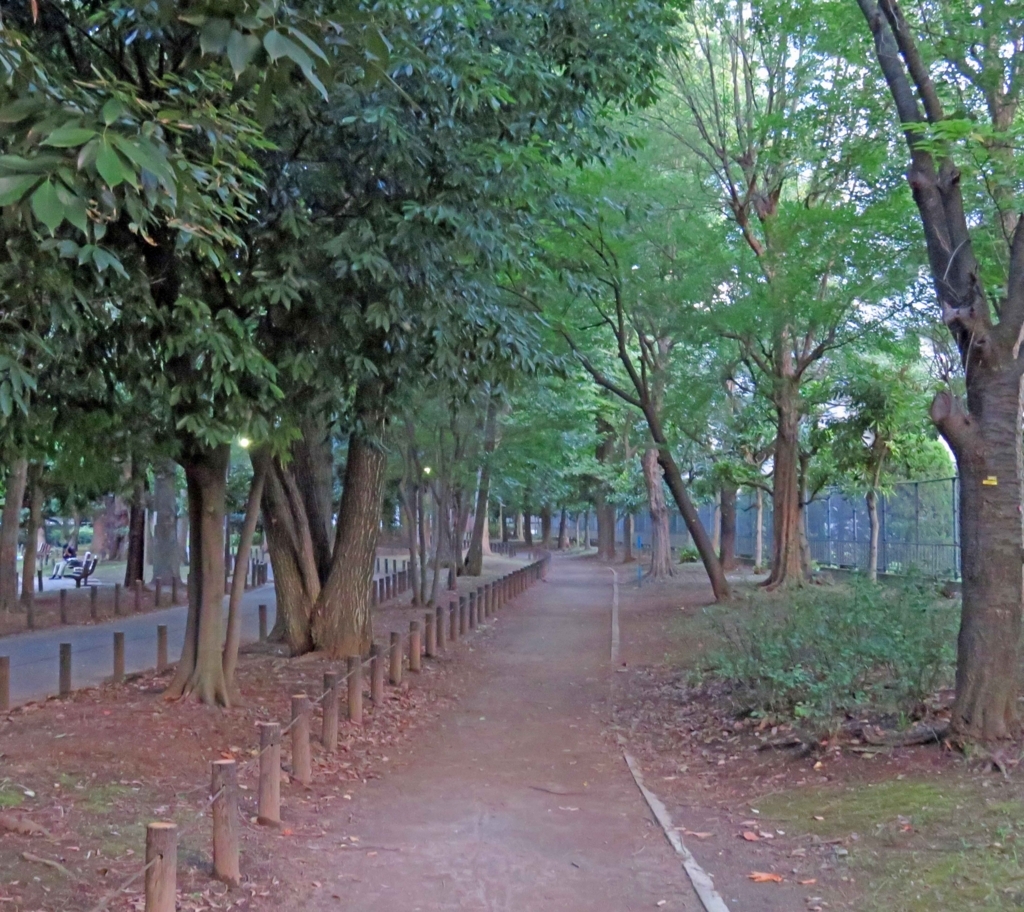 f:id:ICHIZO:20180718041846j:plain f:id:ICHIZO:20180718041846j:plain