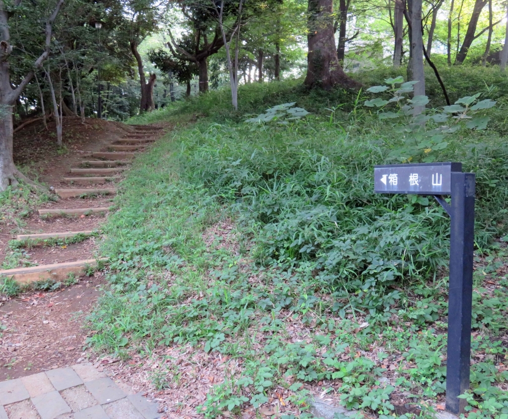 f:id:ICHIZO:20180719035858j:plain
