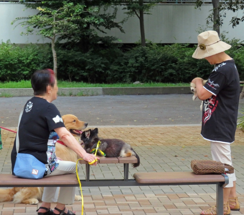 f:id:ICHIZO:20180719040910j:plain