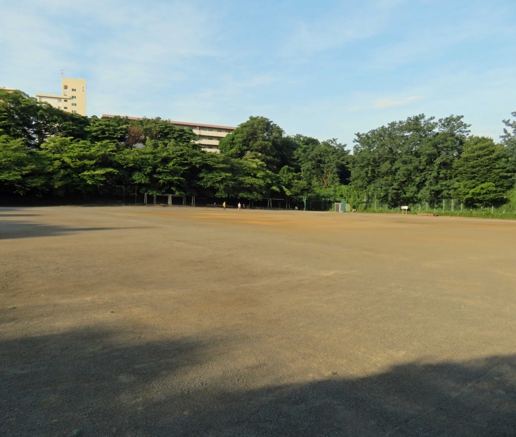 f:id:ICHIZO:20180719041019j:plain
