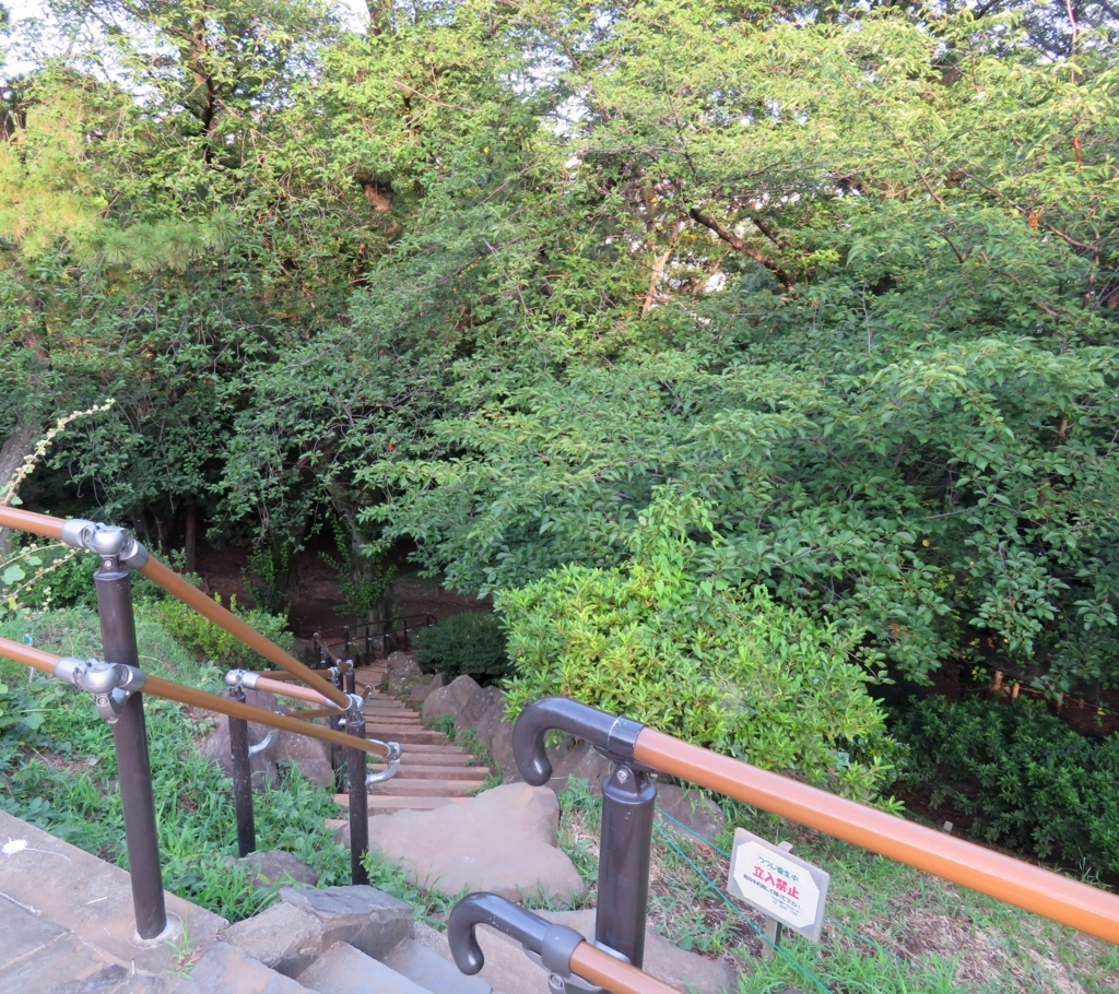 f:id:ICHIZO:20180719061236j:plain