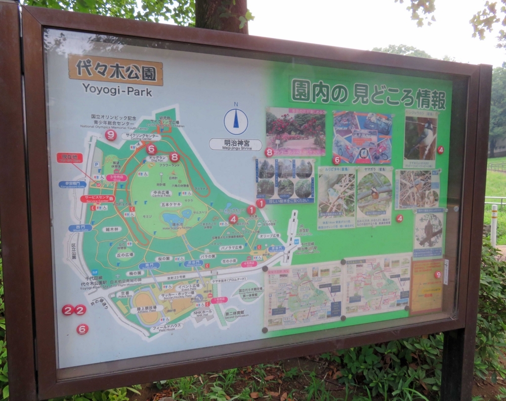 f:id:ICHIZO:20180722165728j:plain