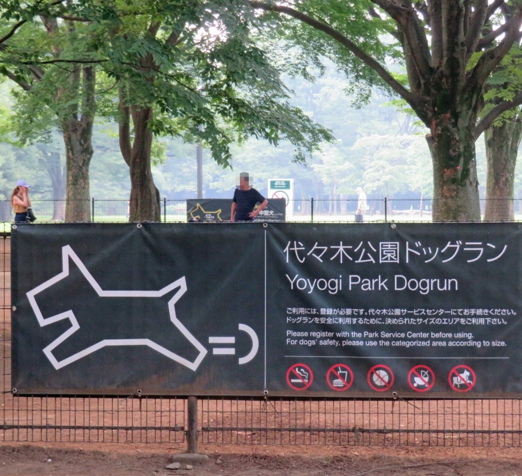 f:id:ICHIZO:20180722174723j:plain f:id:ICHIZO:20180722174723j:plain