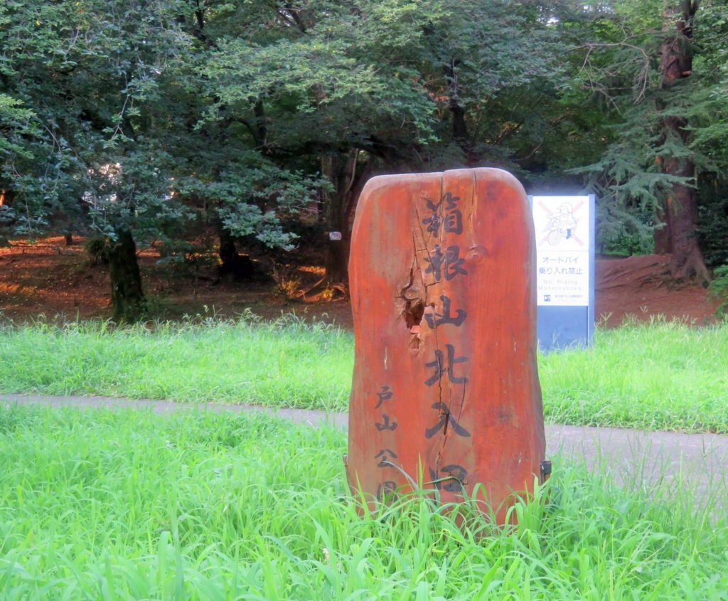 f:id:ICHIZO:20180726044629j:plain f:id:ICHIZO:20180726044629j:plain
