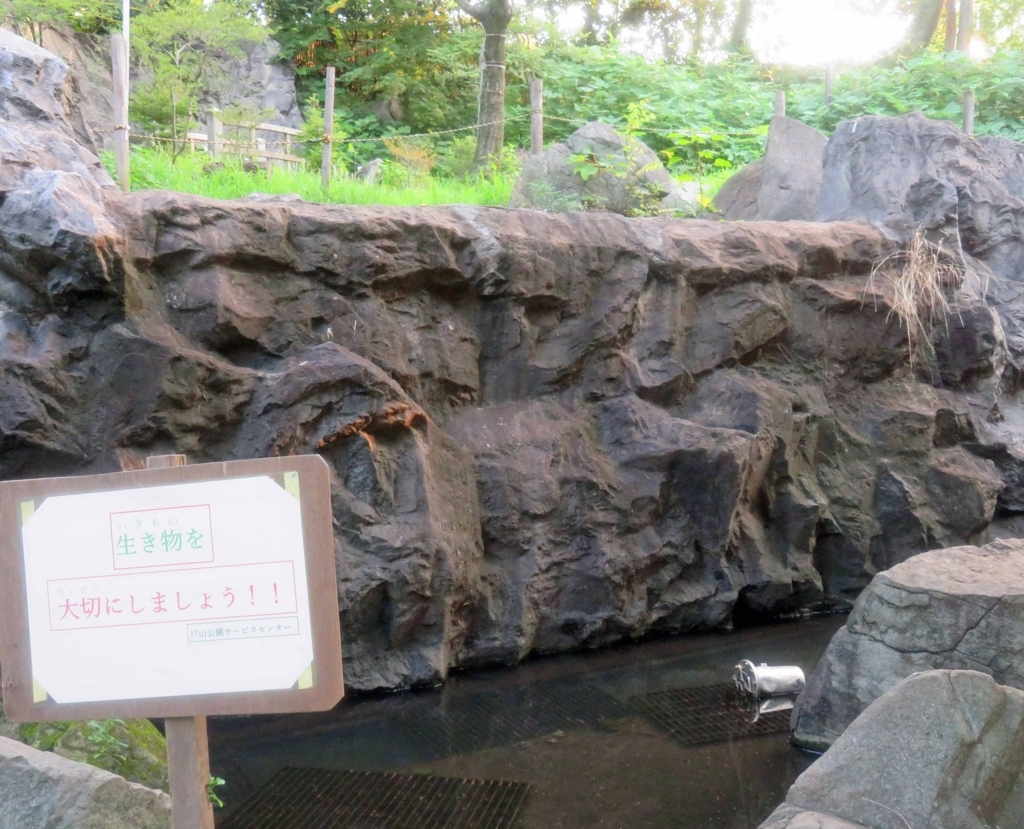 f:id:ICHIZO:20180726050513j:plain f:id:ICHIZO:20180726050513j:plain