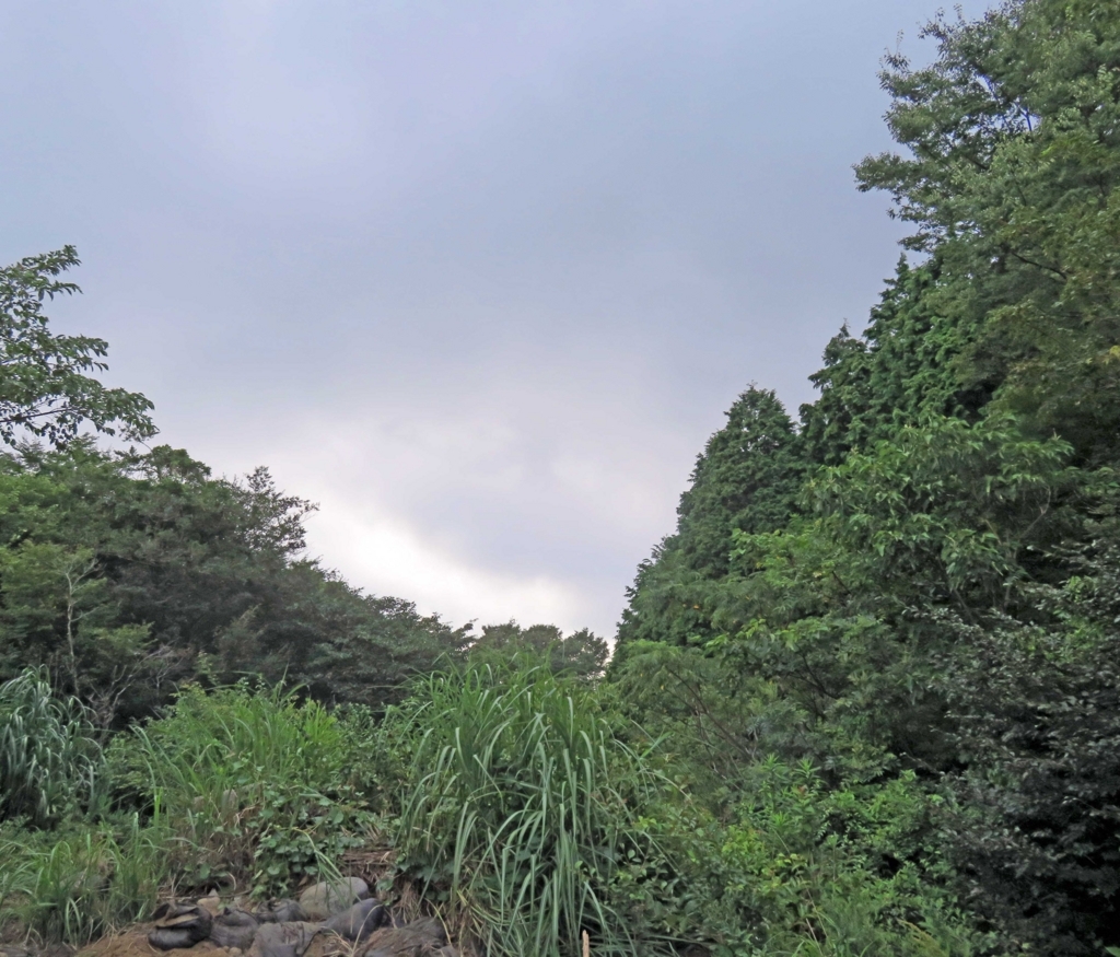 f:id:ICHIZO:20180813043614j:plain