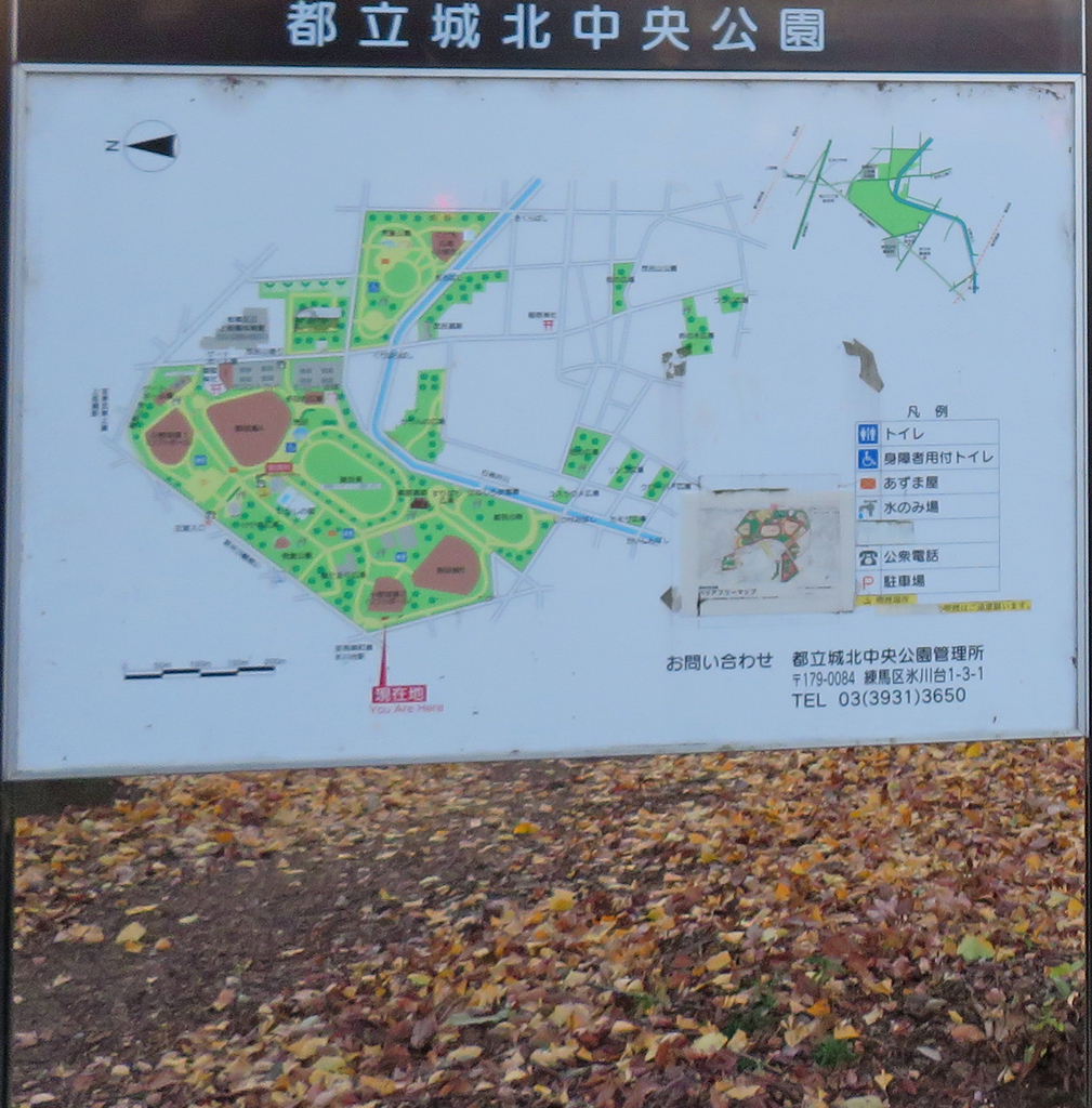 f:id:ICHIZO:20181217045201j:plain