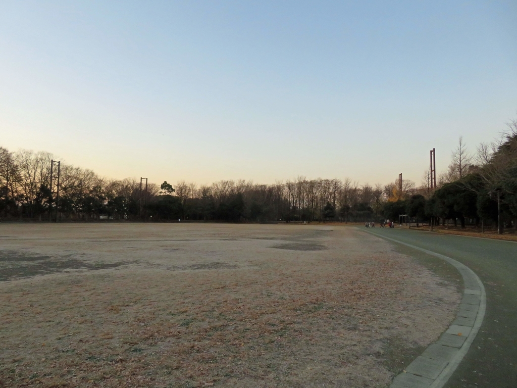 f:id:ICHIZO:20181217045413j:plain