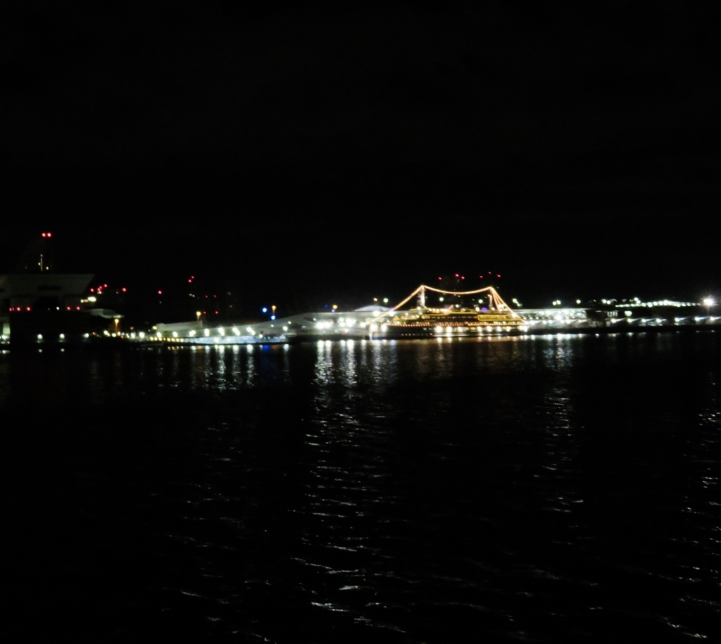 f:id:ICHIZO:20190101052137j:plain