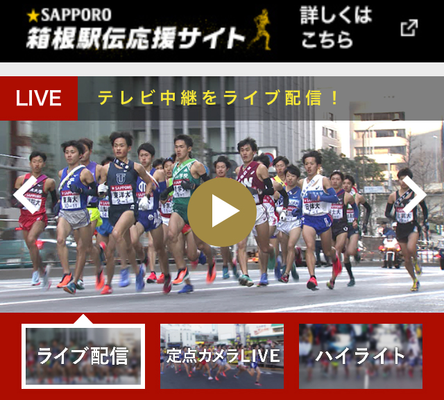 f:id:ICHIZO:20190104105614j:plain