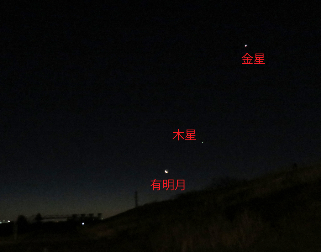 f:id:ICHIZO:20190105202857j:plain