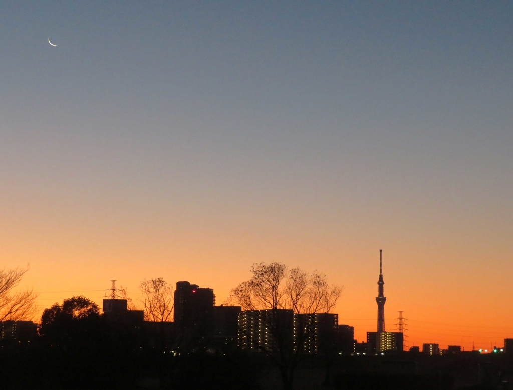 f:id:ICHIZO:20190105205317j:plain