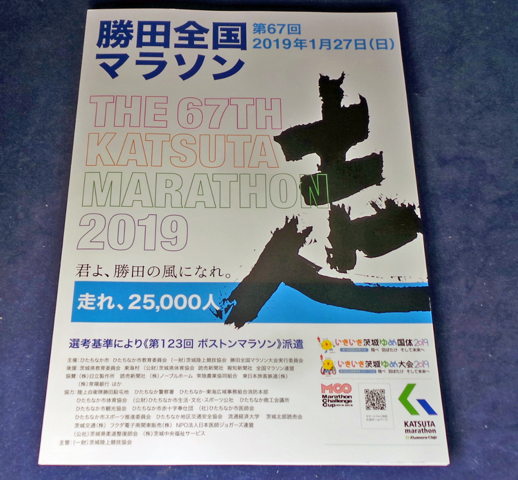 f:id:ICHIZO:20190116051849j:plain