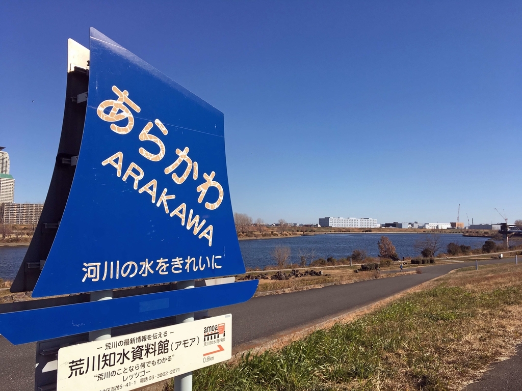 f:id:ICHIZO:20190120050140j:plain