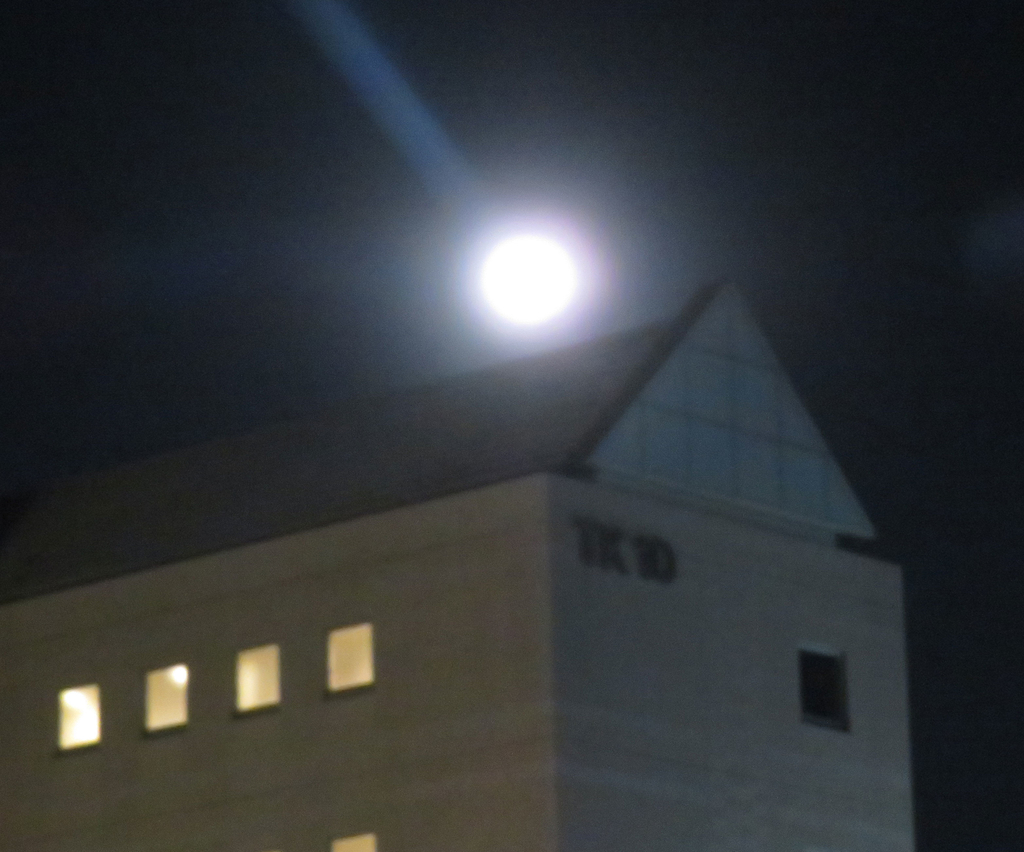 f:id:ICHIZO:20190122051915j:plain