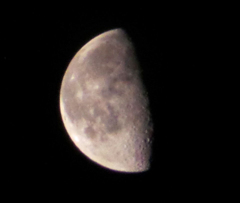 f:id:ICHIZO:20190127082656j:plain f:id:ICHIZO:20190127082656j:plain