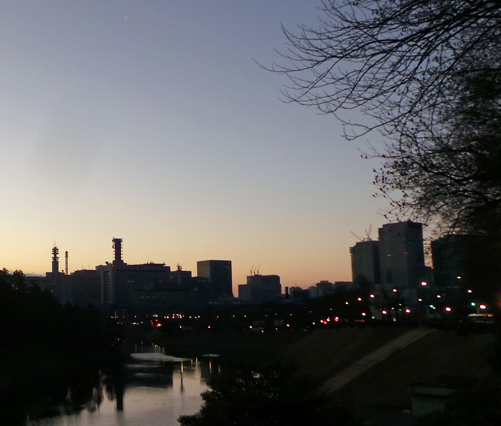 f:id:ICHIZO:20190207043727j:plain