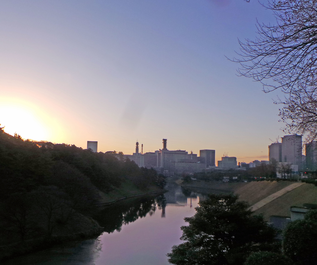 f:id:ICHIZO:20190207044251j:plain