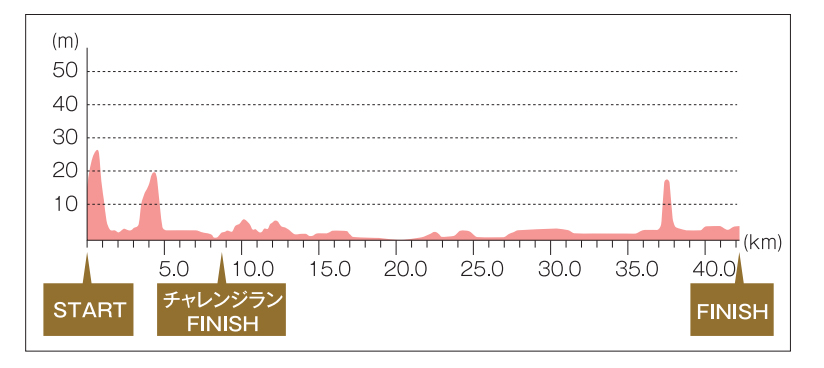 f:id:ICHIZO:20190213052547j:plain f:id:ICHIZO:20190213052547j:plain