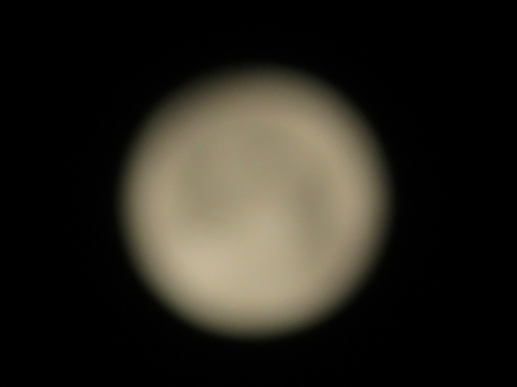 f:id:ICHIZO:20190220053800j:plain