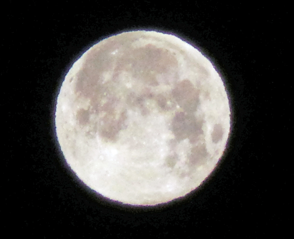 f:id:ICHIZO:20190220060232j:plain