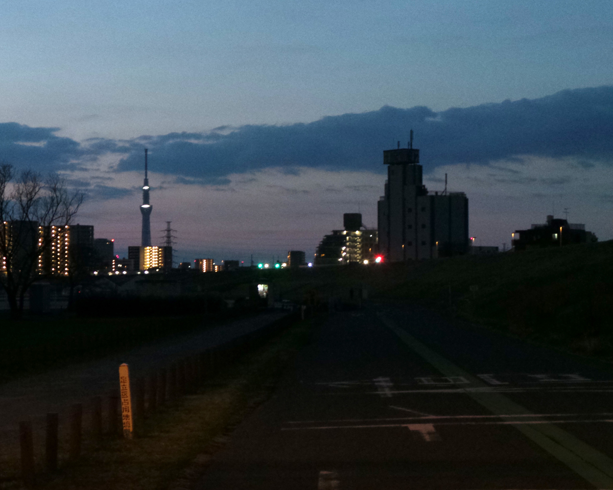 f:id:ICHIZO:20190317083350j:plain