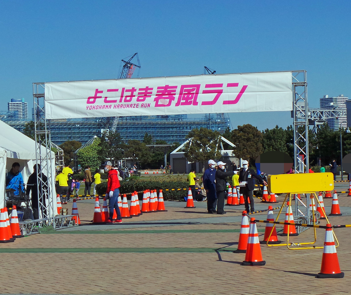 f:id:ICHIZO:20190328054312j:plain