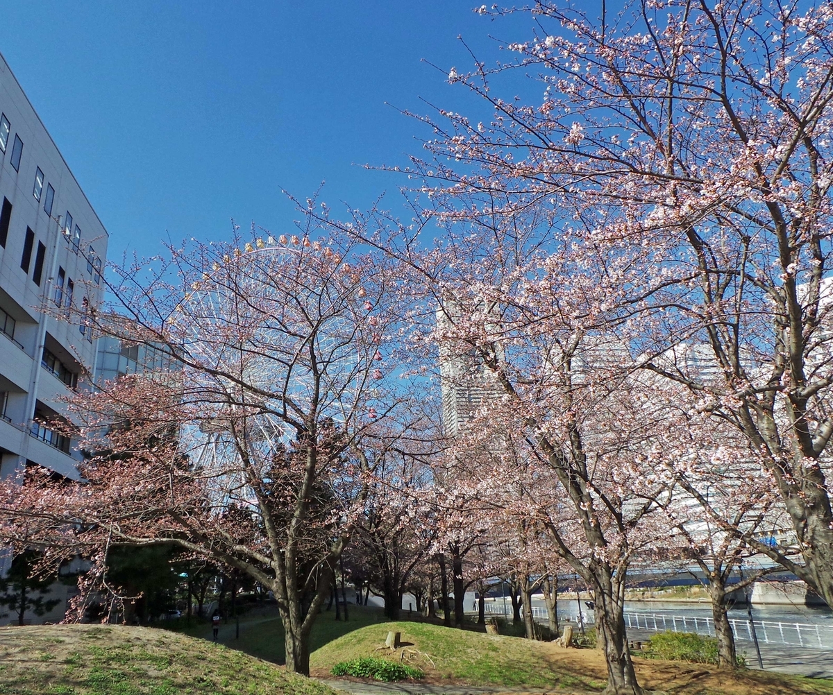 f:id:ICHIZO:20190328054837j:plain