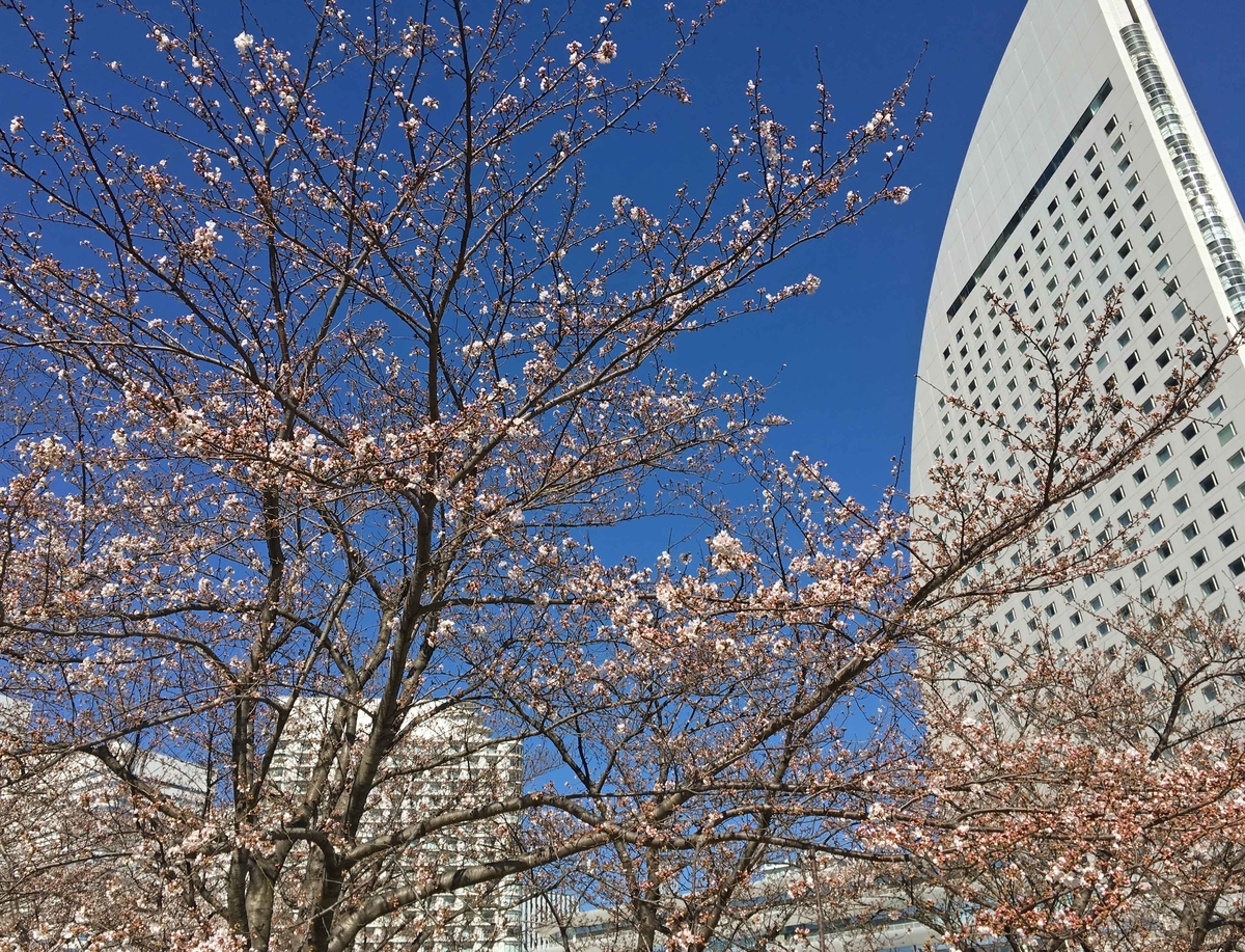f:id:ICHIZO:20190328054959j:plain