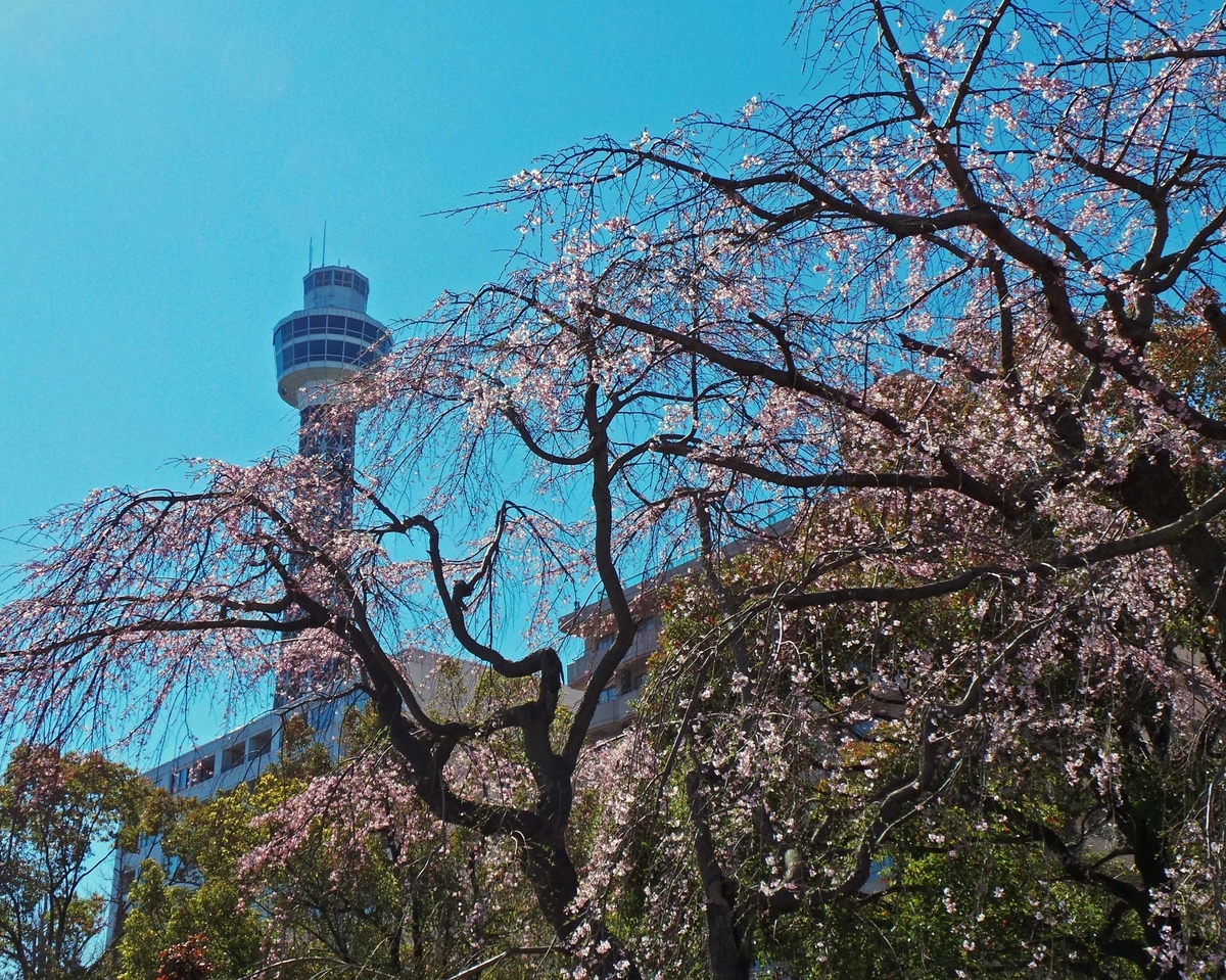 f:id:ICHIZO:20190328060425j:plain