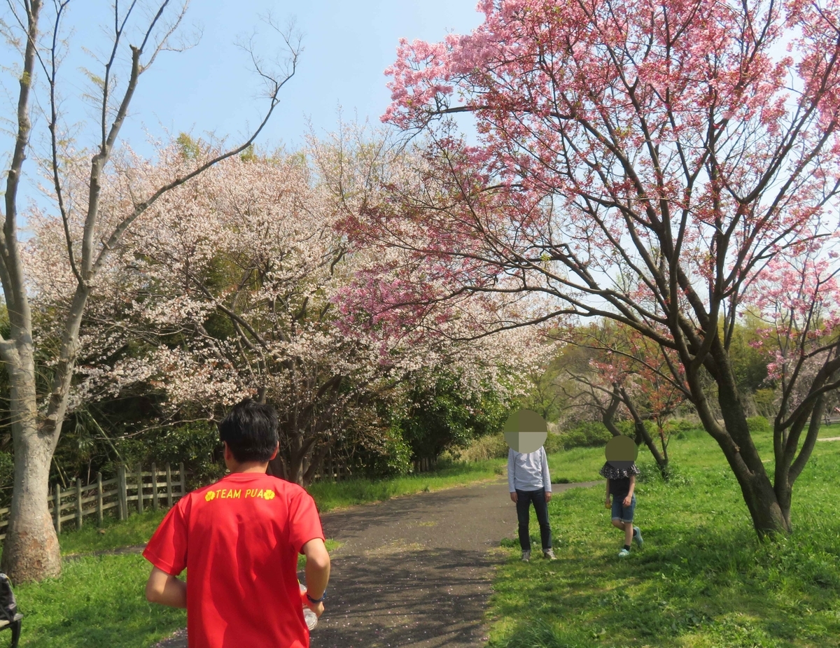 f:id:ICHIZO:20190410052438j:plain