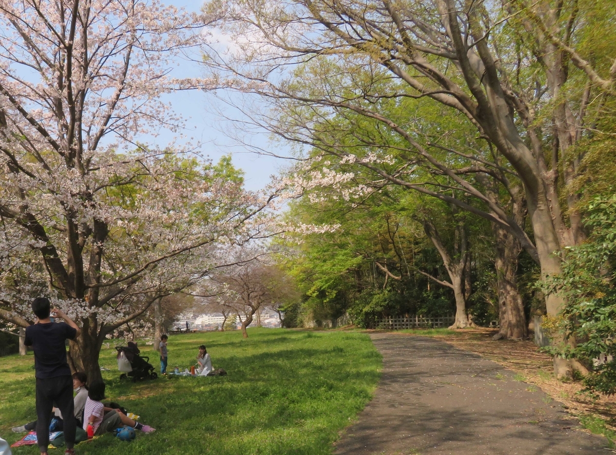 f:id:ICHIZO:20190410052539j:plain